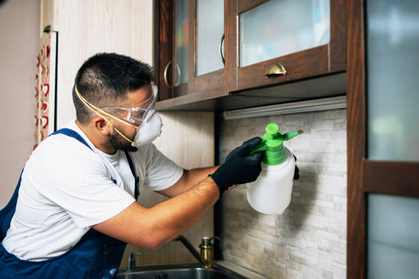 Best Pest Inspection Near Me  in Franklin, KY