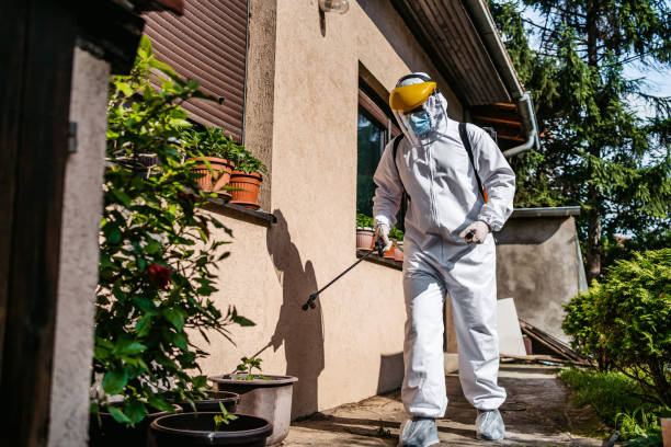 Best Emergency Pest Control  in Franklin, KY