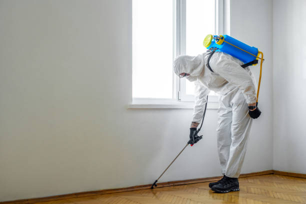 Best Best Pest Control Companies  in Franklin, KY
