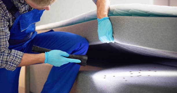 Best Best Pest Control Companies  in Franklin, KY