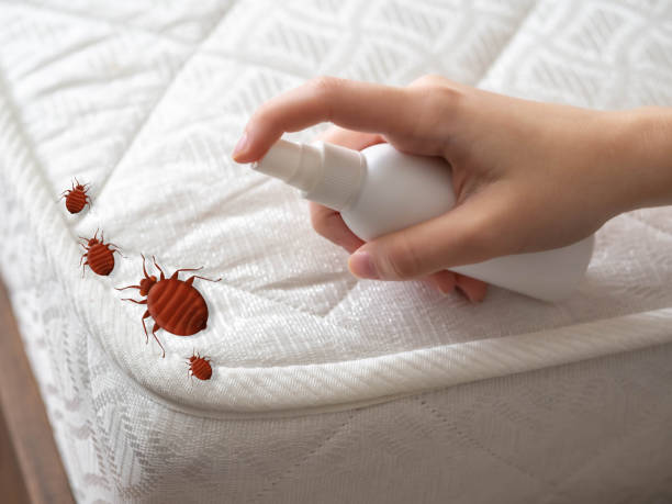 Best Commercial Pest Control Services  in Franklin, KY