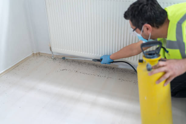 Best Affordable Pest Control Services  in Franklin, KY